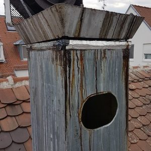 dunstabzug_schmutz_fett_gesundheitsamt